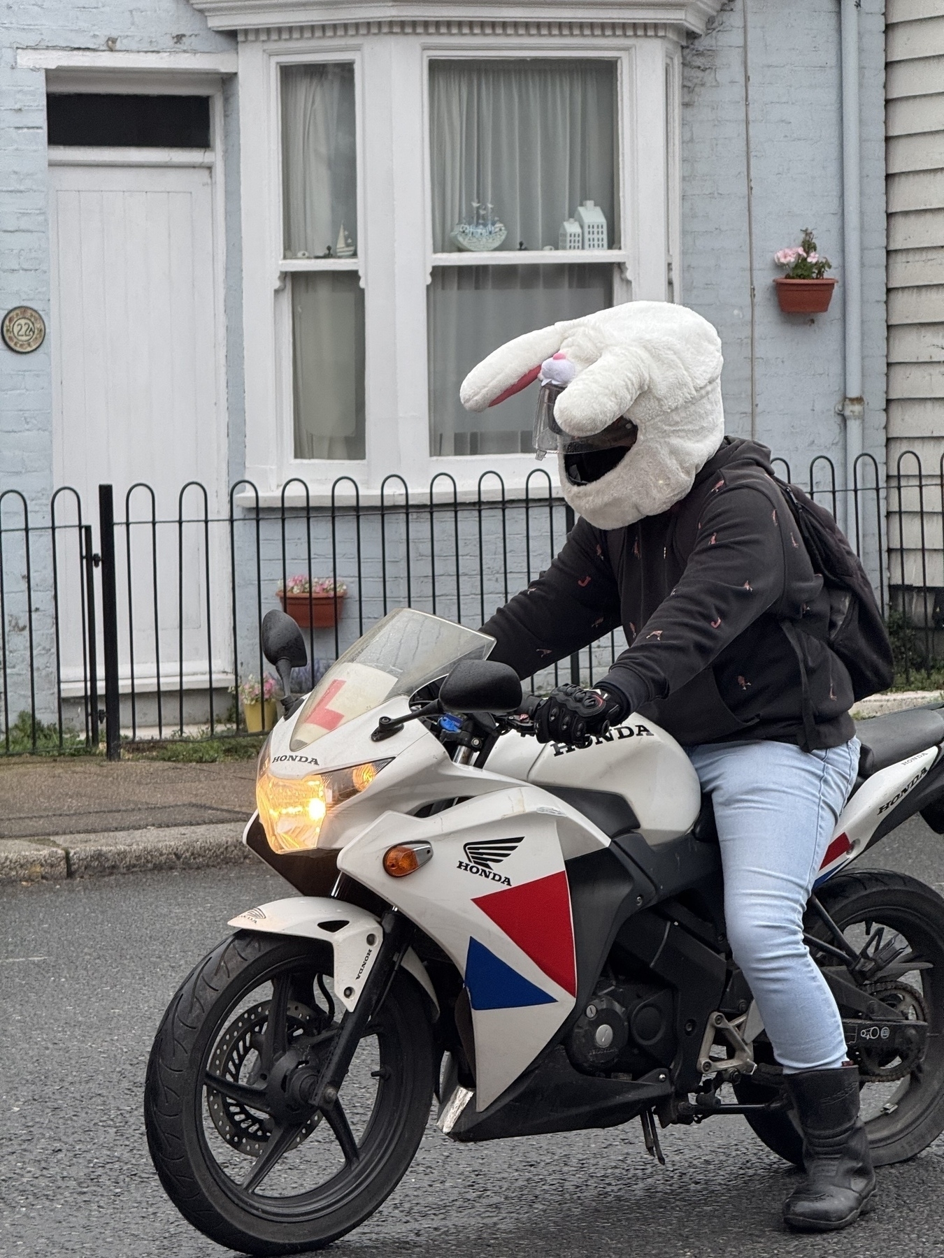 A motor cyclist with a rabbit ears cover on their helmet. 